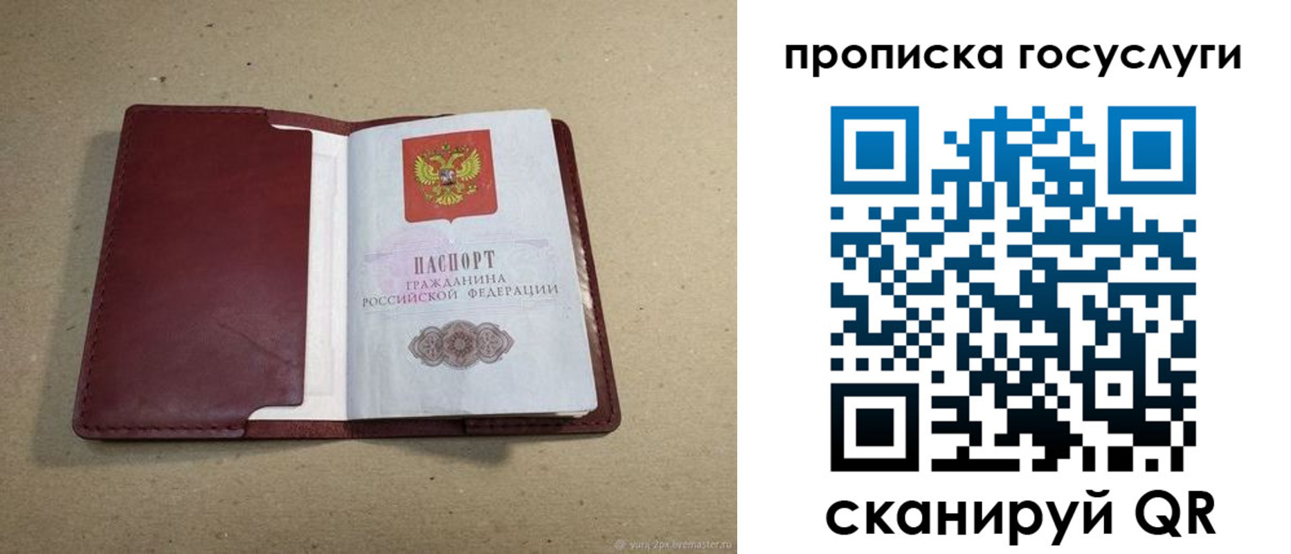 прописка поиск в Кудрово